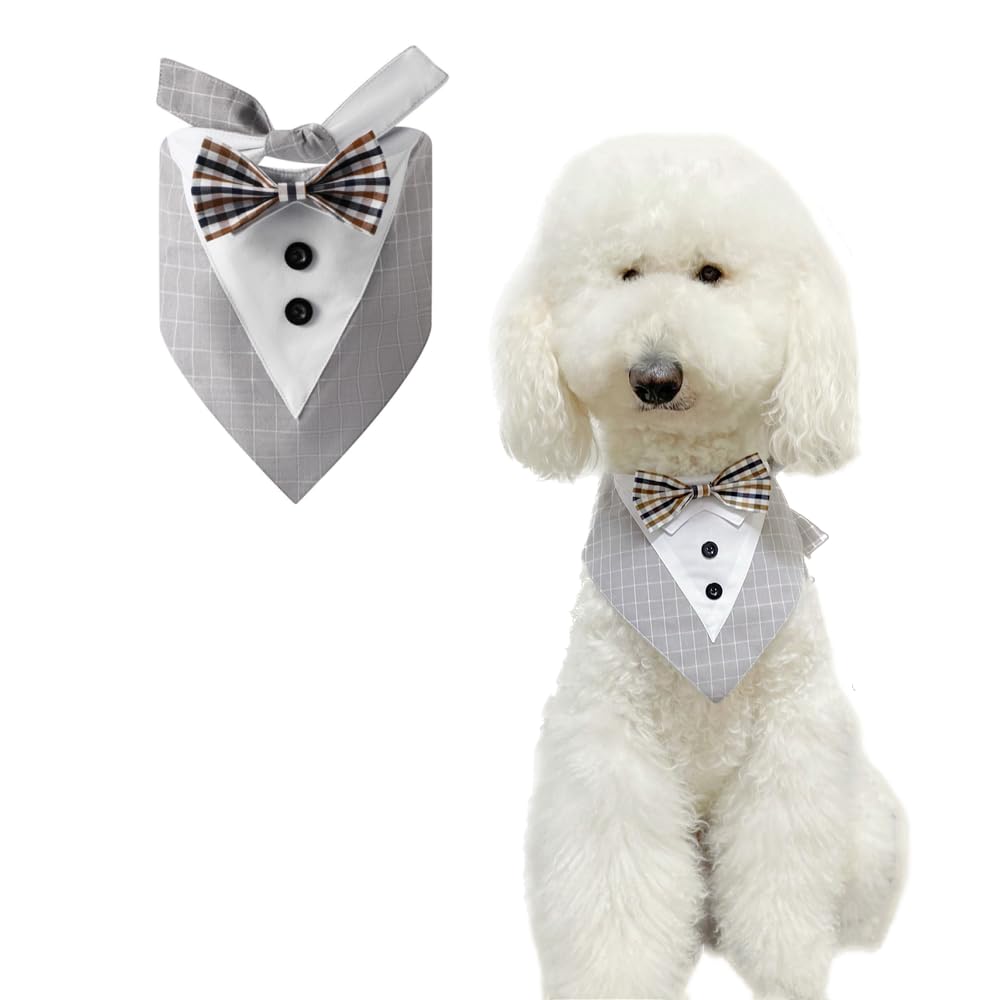 蝶と犬 蝶と犬 蝶と犬 蝶と犬 Yahoo!オークション - Z/X ゼクス 蝶ヶ